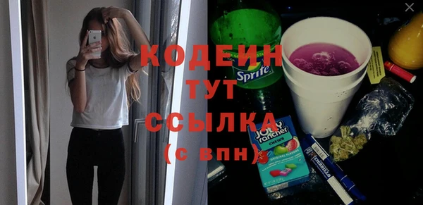 ГАЛЛЮЦИНОГЕННЫЕ ГРИБЫ Михайлов