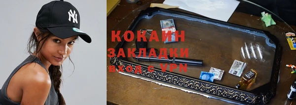 ГАЛЛЮЦИНОГЕННЫЕ ГРИБЫ Михайлов
