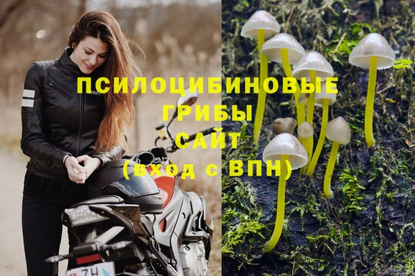 ГАЛЛЮЦИНОГЕННЫЕ ГРИБЫ Михайлов