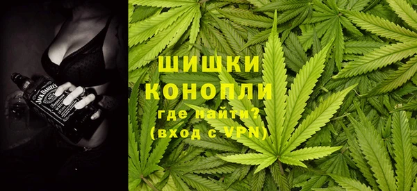 ГАЛЛЮЦИНОГЕННЫЕ ГРИБЫ Михайлов