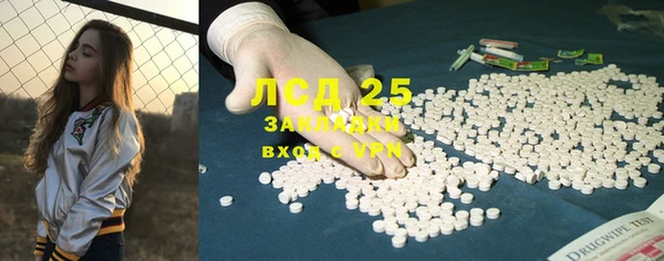 ГАЛЛЮЦИНОГЕННЫЕ ГРИБЫ Михайлов