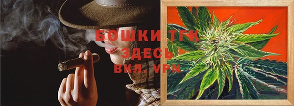 ГАЛЛЮЦИНОГЕННЫЕ ГРИБЫ Михайлов