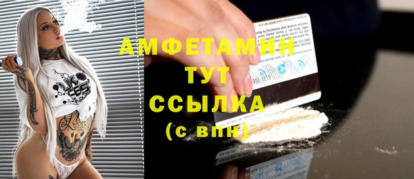 ГАЛЛЮЦИНОГЕННЫЕ ГРИБЫ Михайлов