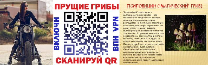 Псилоцибиновые грибы ЛСД  Жирновск 