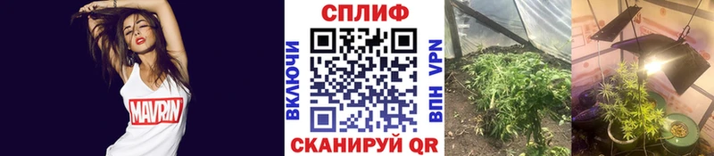 Каннабис SATIVA & INDICA  Жирновск 